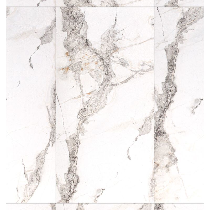 KP04BL1584 - tendido principal